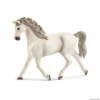 Holsteiner Mare