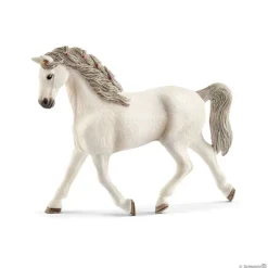 Holsteiner Mare