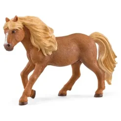 Iceland Pony Stallion