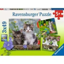 Kittens - 3x49 Piece Puzzle