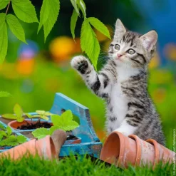 Kittens - 3x49 Piece Puzzle