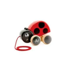 Ladybug Pull Along