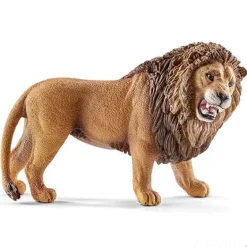 Lion, Roaring