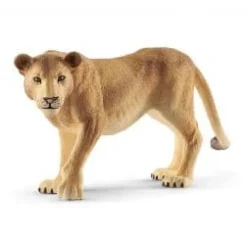 Lioness