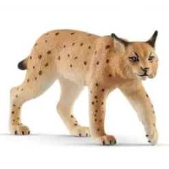 Lynx