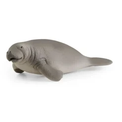 Manatee