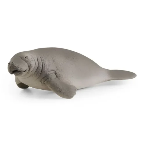 Manatee