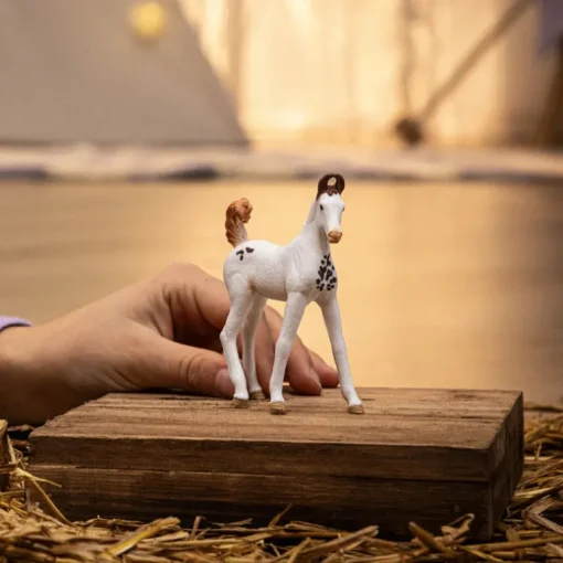 Marwari Foal