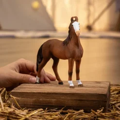 Marwari Mare