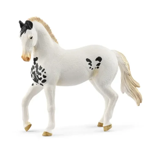 Marwari Stallion