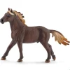 Mustang Stallion