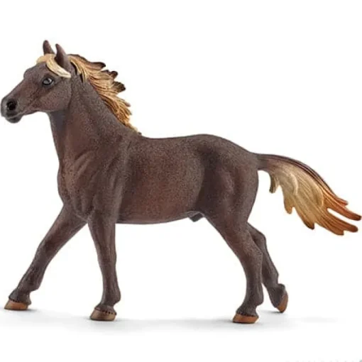Mustang Stallion