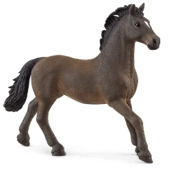Oldenburger Stallion