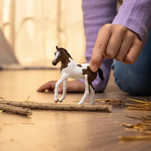 Paint Horse Foal