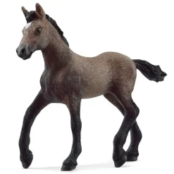 Paso Peruano Foal
