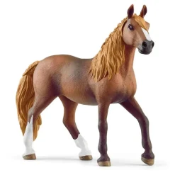 Paso Peruano Mare