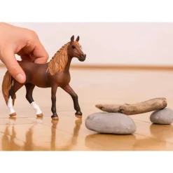 Paso Peruano Mare