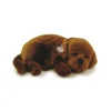 Perfect Petzzz Chocolate Lab