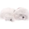 Perfect Petzzz Maltese