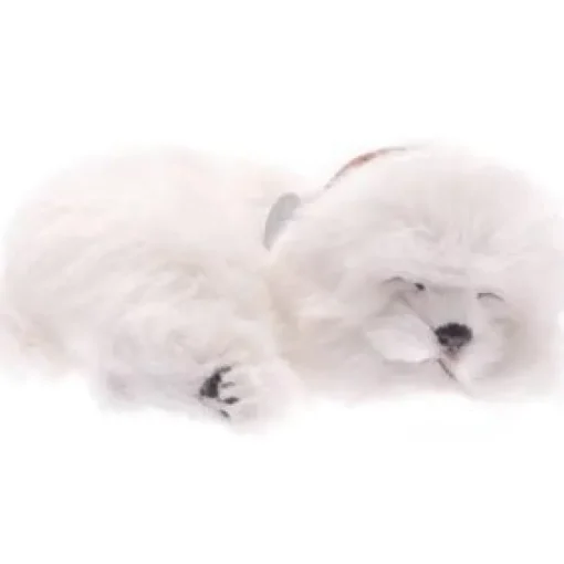 Perfect Petzzz Maltese