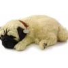 Perfect Petzzz Pug