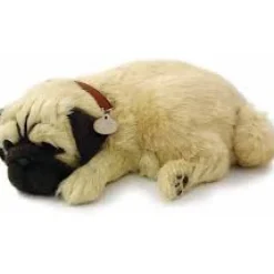 Perfect Petzzz Pug