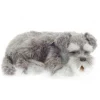 Perfect Petzzz Schnauzer