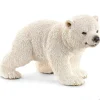 Polar Bear Cub, Walking