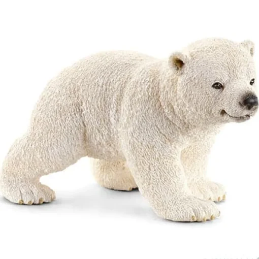 Polar Bear Cub, Walking