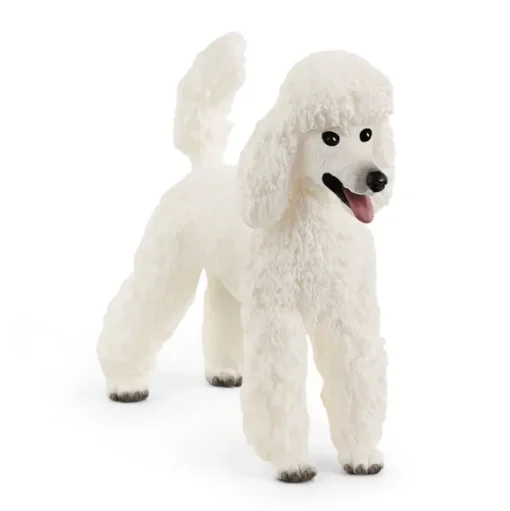 Poodle