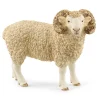 Ram