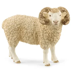 Ram