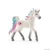 Sea Unicorn, Foal