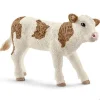 Simmental Calf