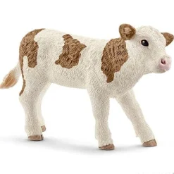 Simmental Calf