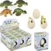 Small Hatch And Grow Turtle Egg