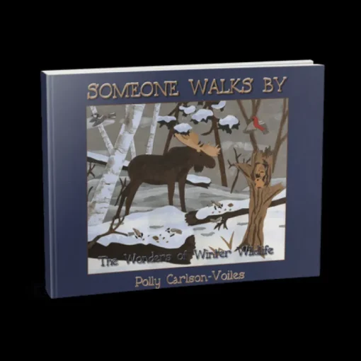 Someone Walks By