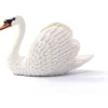 Swan