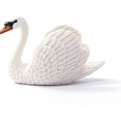 Swan