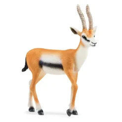 Thomson Gazelle