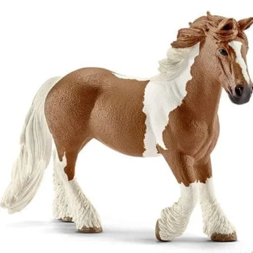 Tinker Mare