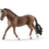 Trakehner Gelding