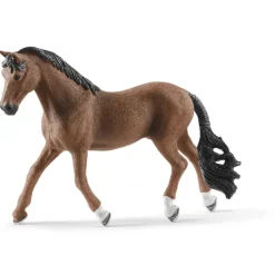 Trakehner Gelding