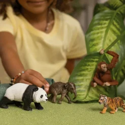 Wild Life Asia Starter Set