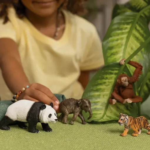Wild Life Asia Starter Set