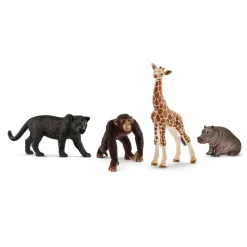 Wild Life Starter Set