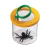 World's Best Bug Jar