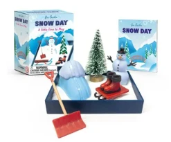 Zen Garden Snow Day